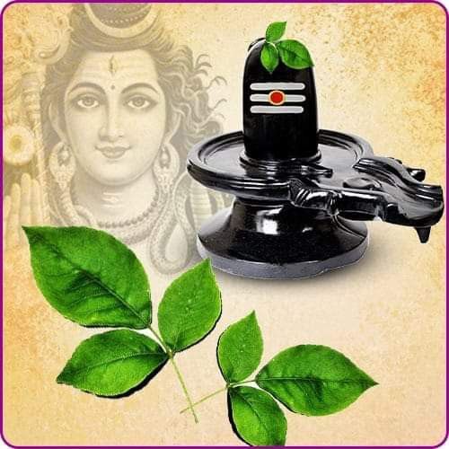 महा शिवरात्रि पर जल चढ़ाने की सही विधि: