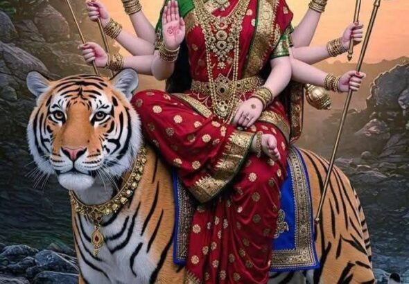 नवरात्रि व्रत में परहेज़ करने योग्य चीज़ें