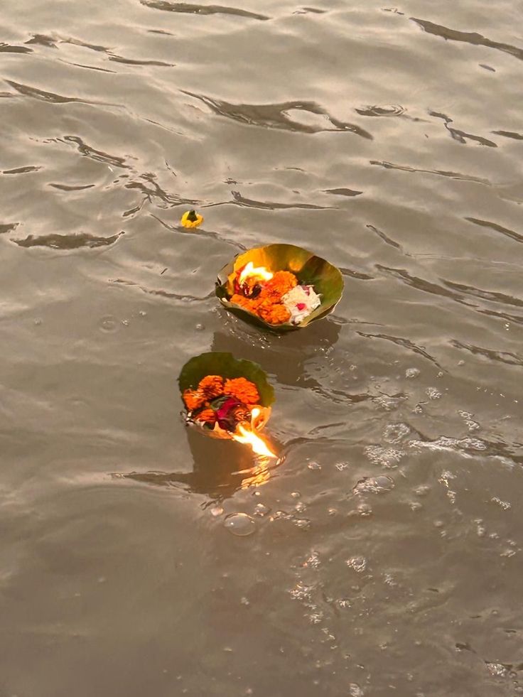 कार्तिक पूर्णिमा पर क्या दान करें