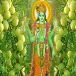 अमला एकादशी का महत्व: क्यों खास है यह एकादशी