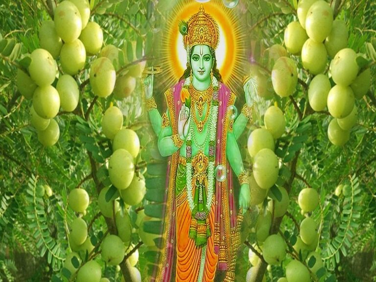 अमला एकादशी का महत्व: क्यों खास है यह एकादशी